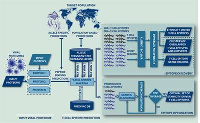 A Proteome-Wide Immunoinformatics Tool to Accelerate T-Cell Epitope Discovery and Vaccine Design in the Context of Emerging Infectious Diseases: An Ethnicity-Oriented Approach